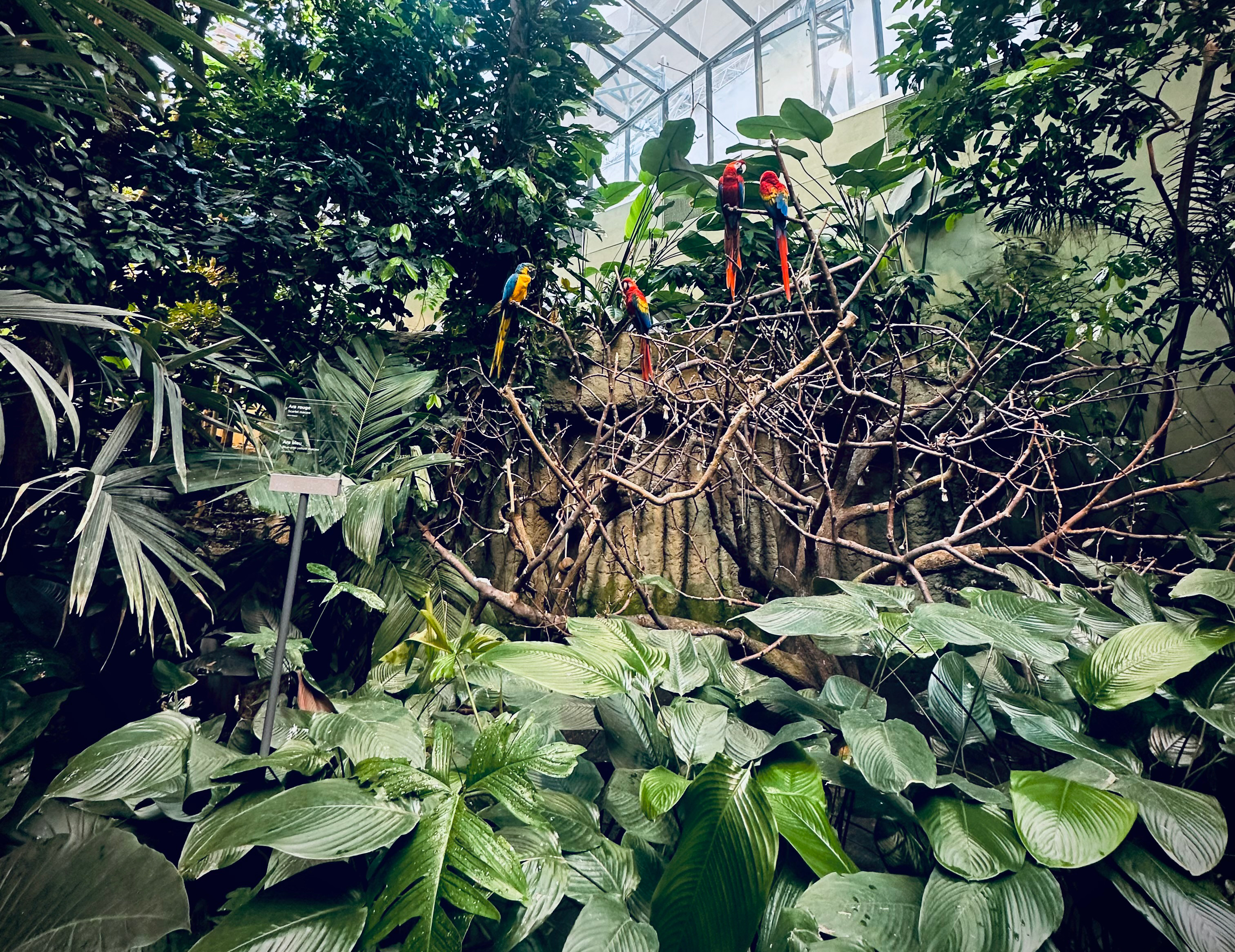 Scène tropicale d'un zoo, démontrant le domaine d'expertise de NutriZio